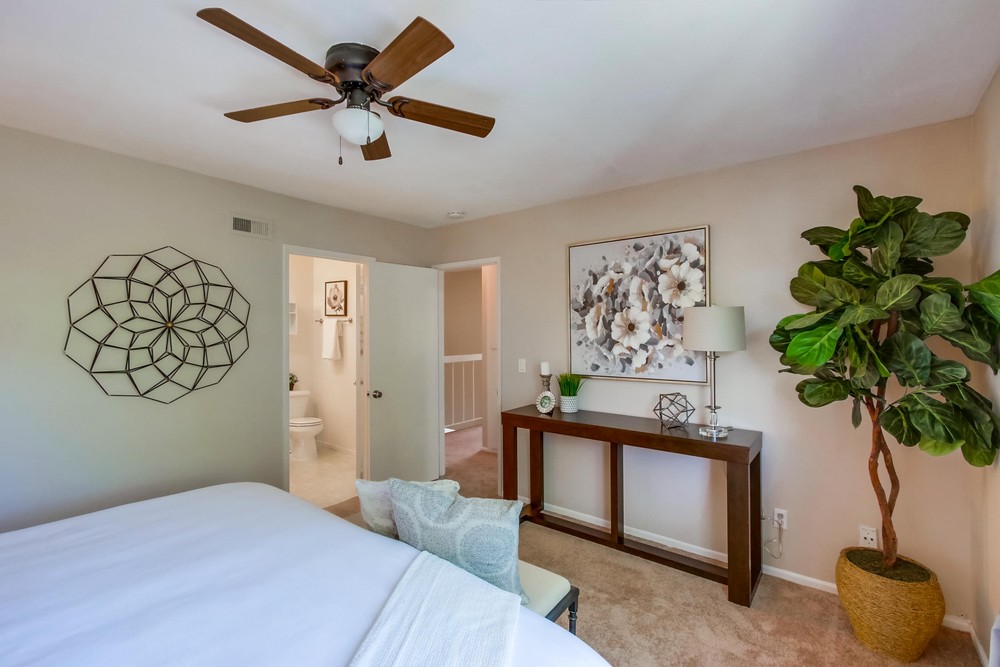 Virtual tour photo 18 of 32 for 5073 La Cuenta Dr
