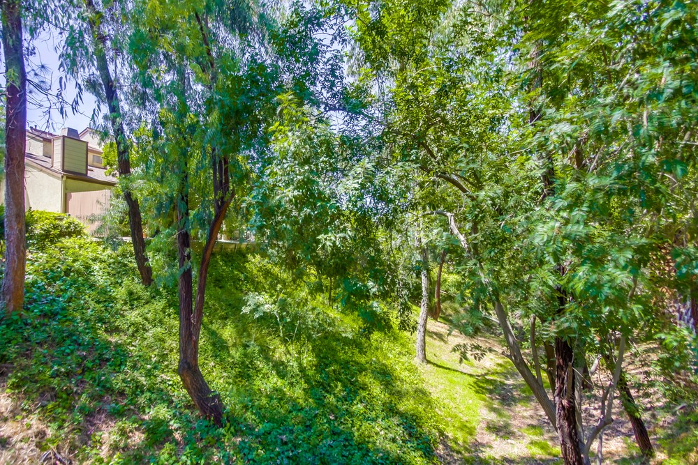 Virtual tour photo 33 of 42 for 5083 Lambert Ln