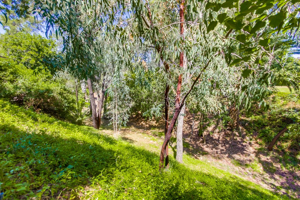 Virtual tour photo 36 of 42 for 5083 Lambert Ln