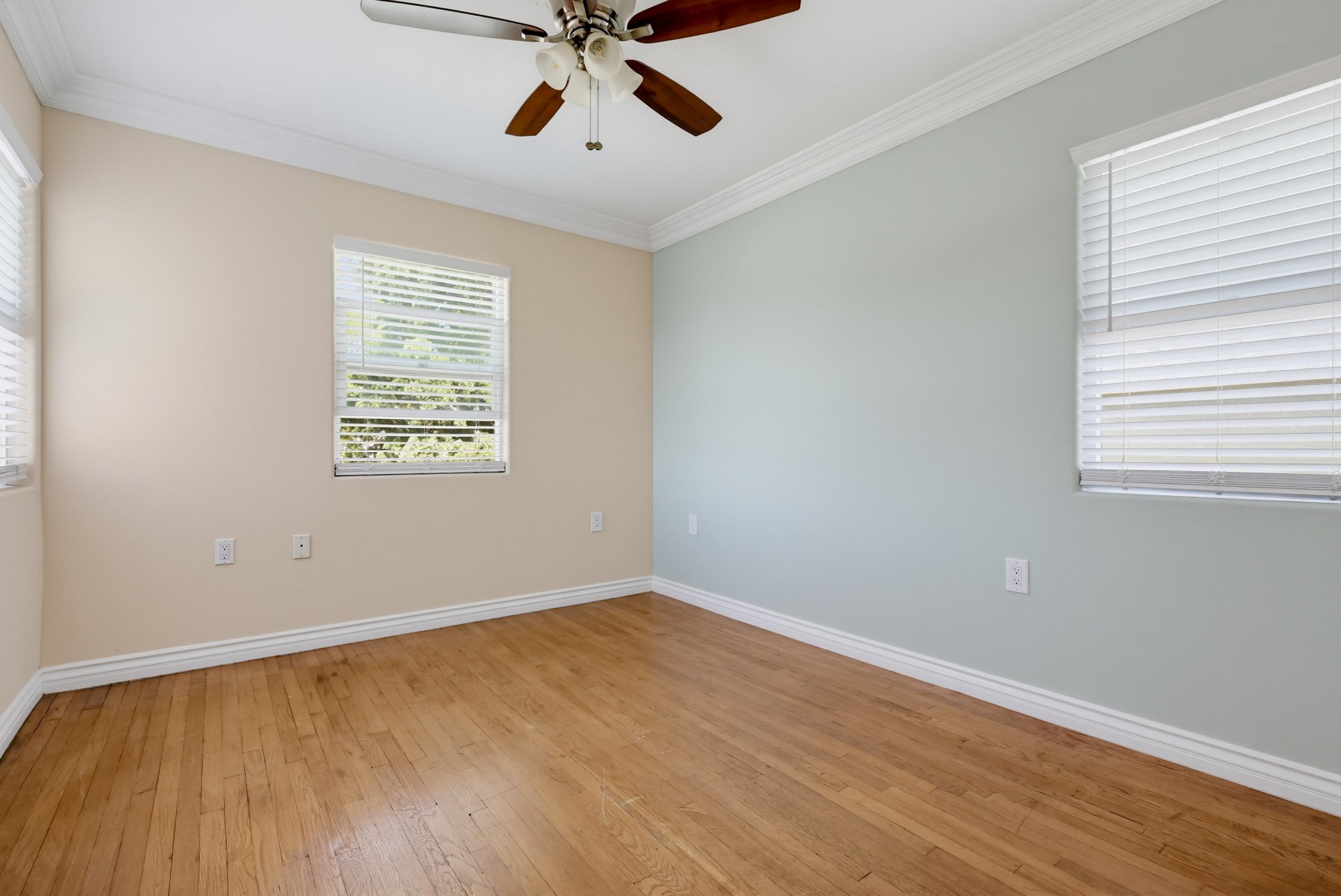 Virtual tour photo 60 of 67 for 509 D Ave