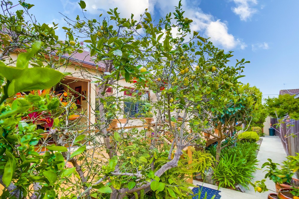 Virtual tour photo 42 of 48 for 5126 Bayard St
