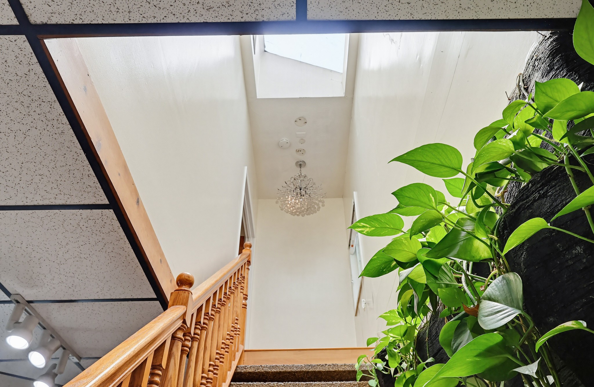 Virtual tour photo 51 of 100 for 5140 Elrovia Ave