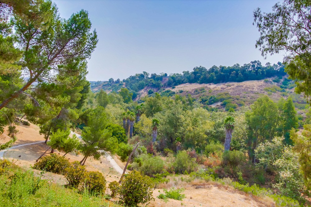 Virtual tour photo 34 of 41 for 5229 Quemado Ct
