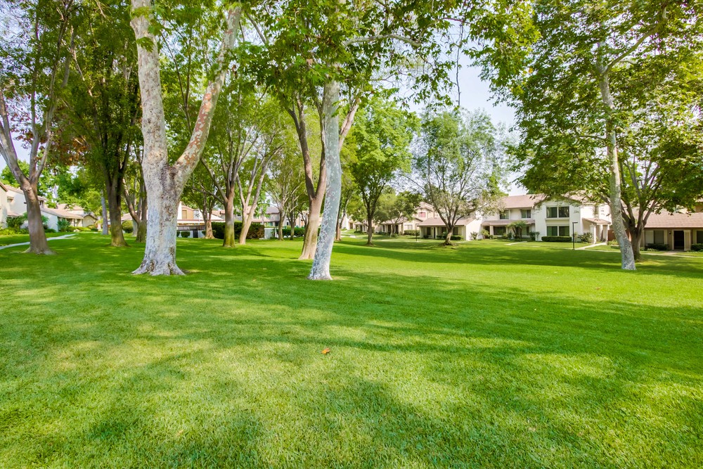 Virtual tour photo 37 of 41 for 5229 Quemado Ct