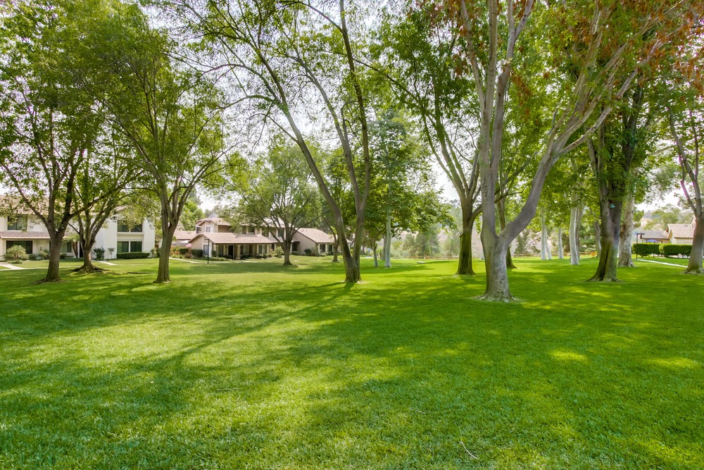 Virtual tour photo 38 of 41 for 5229 Quemado Ct