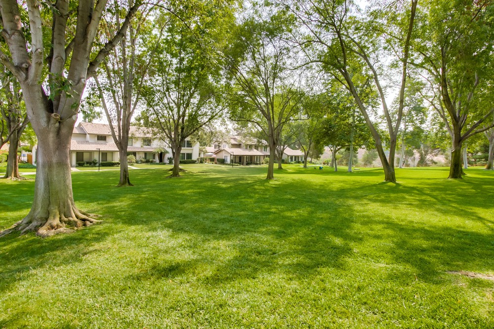 Virtual tour photo 39 of 41 for 5229 Quemado Ct