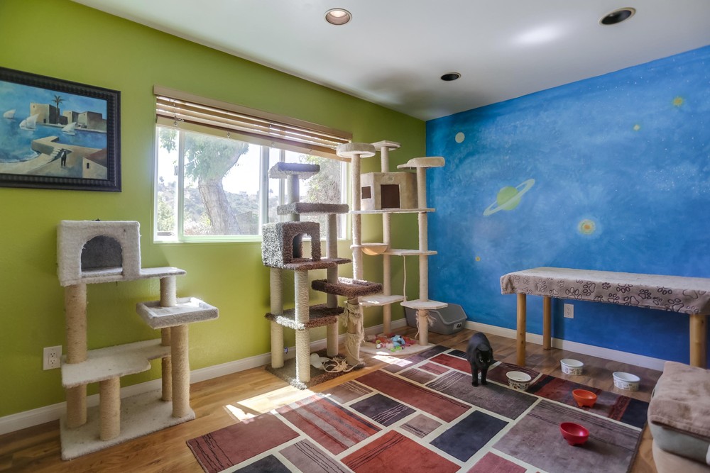 Virtual tour photo 57 of 78 for 5265 Bothe Ave