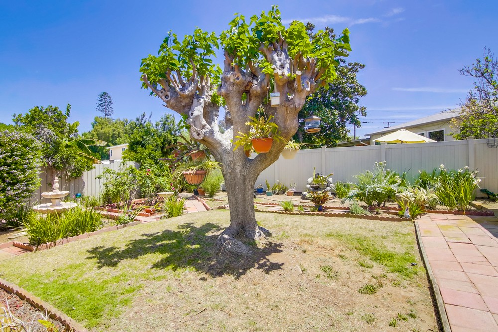 Virtual tour photo 22 of 24 for 5292 Adams Ave