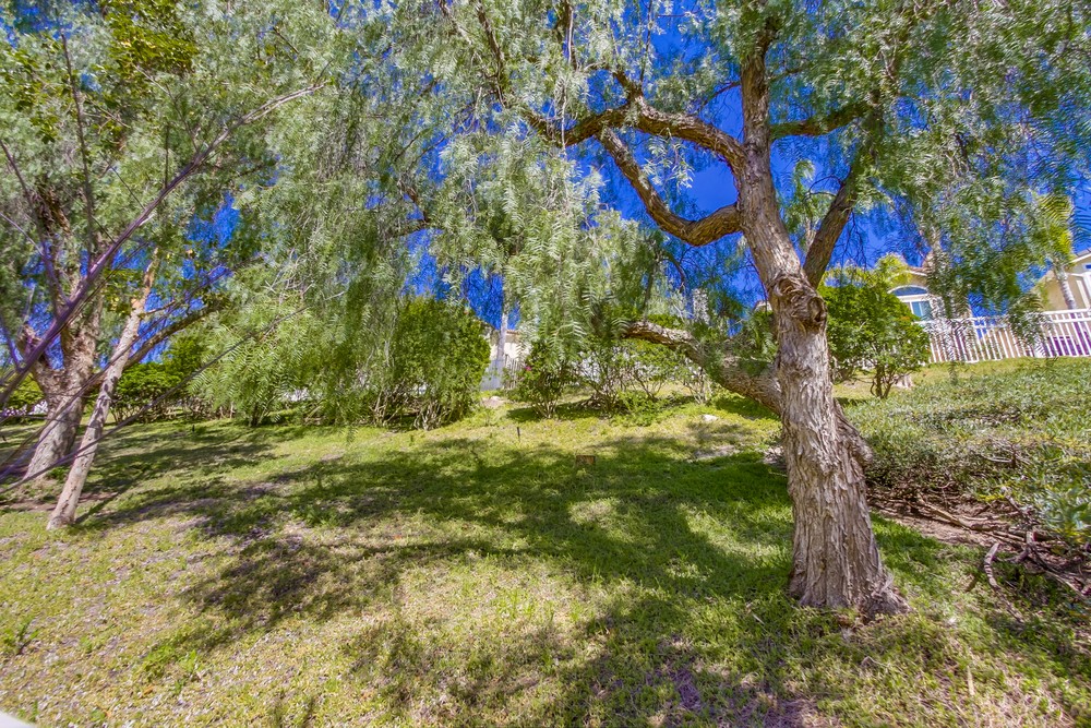 Virtual tour photo 53 of 52 for 5376 Camino Playa Malaga