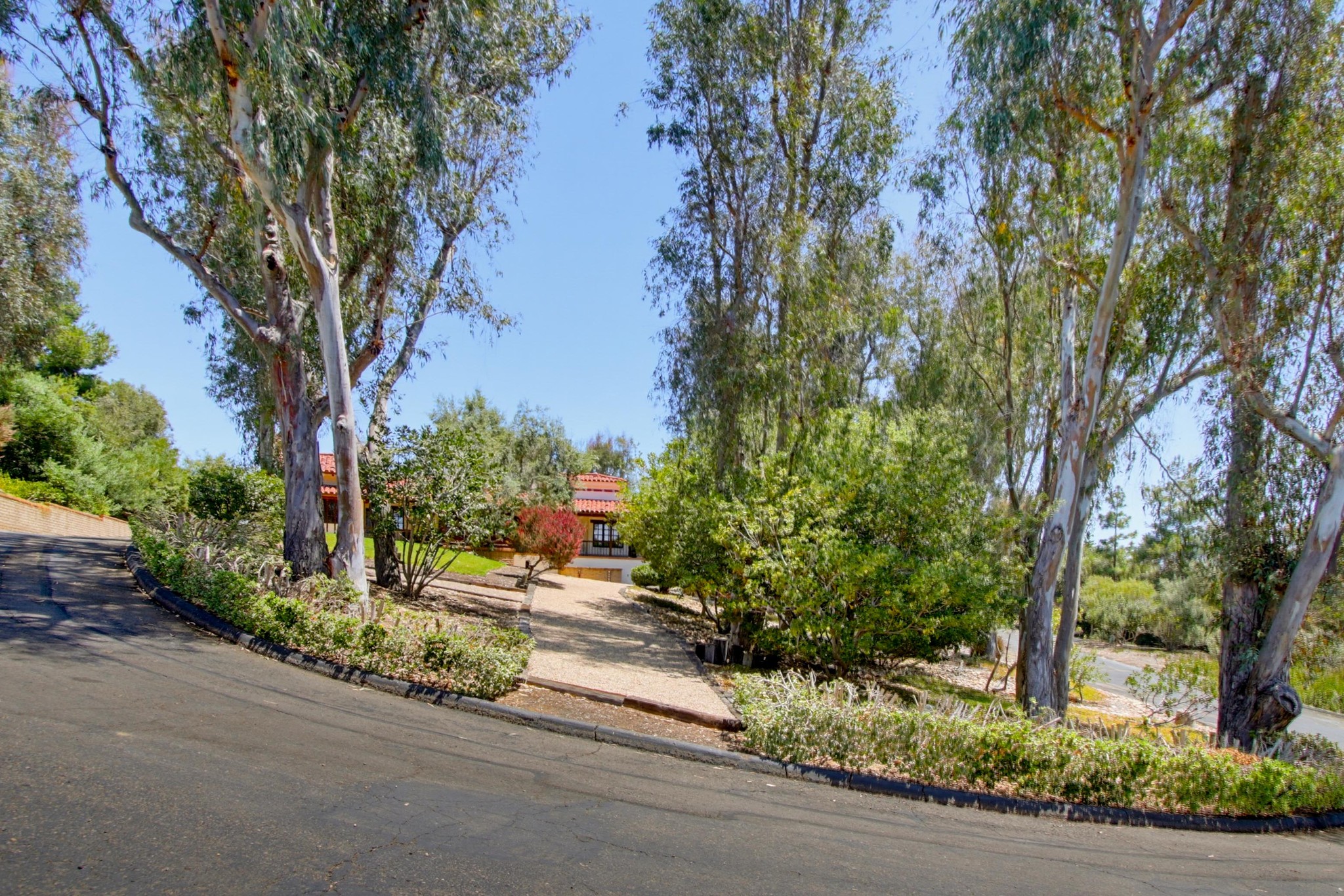 Virtual tour photo 1 of 96 for 5443 Calzada Del Bosque