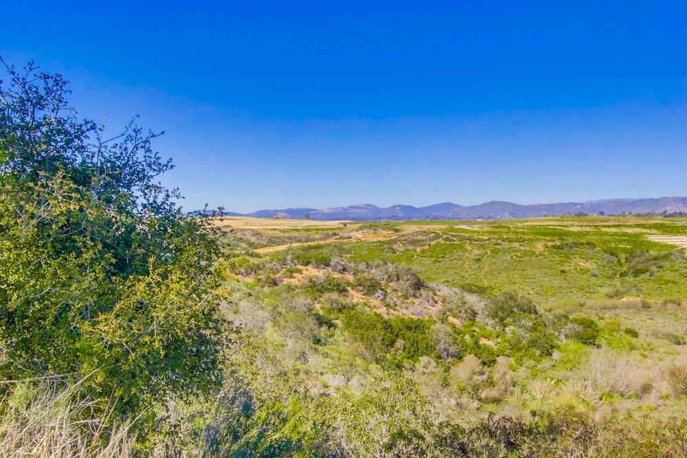 Virtual tour photo 85 of 87 for 5476 Valerio Trail