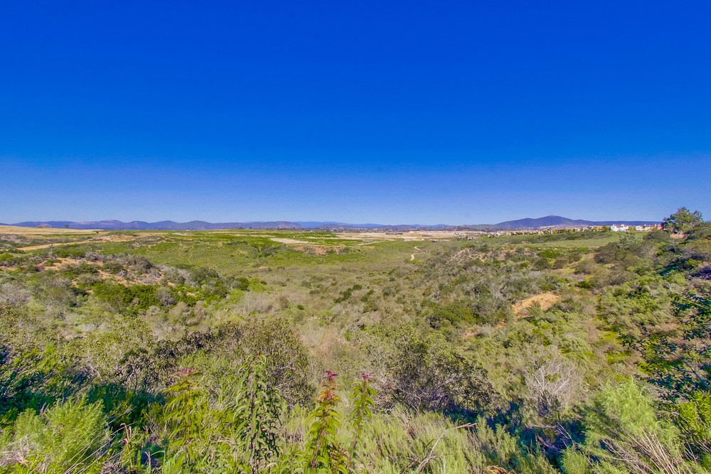 Virtual tour photo 86 of 87 for 5476 Valerio Trail