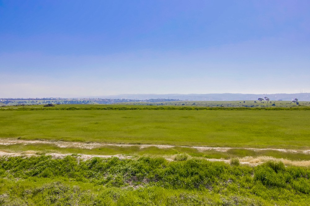 Virtual tour photo 43 of 62 for 5497 San Roberto