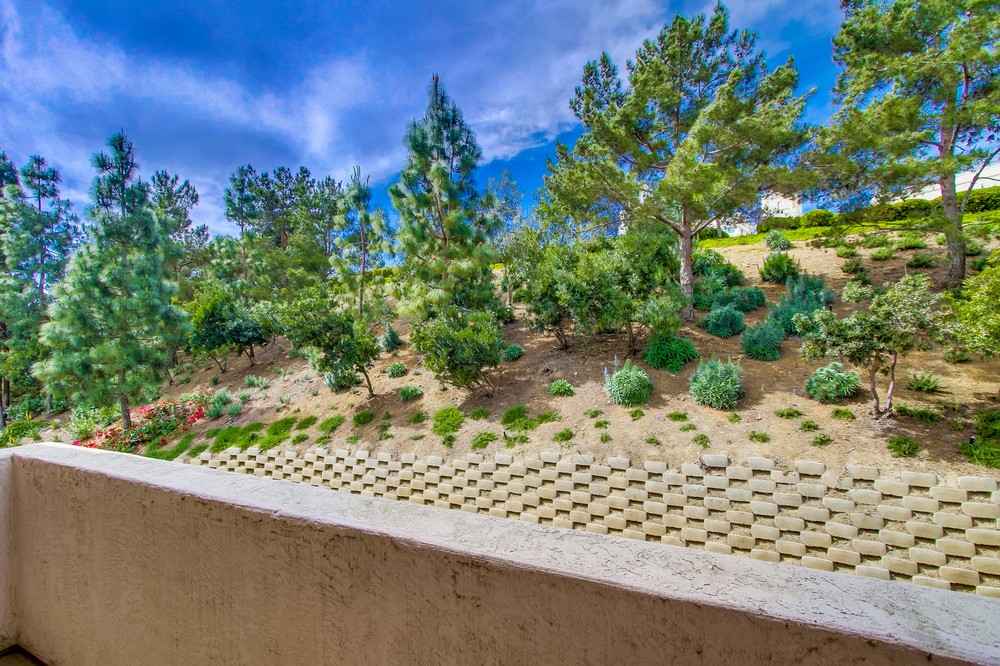 Virtual tour photo 22 of 33 for 5540 Renaissance Avenue #1