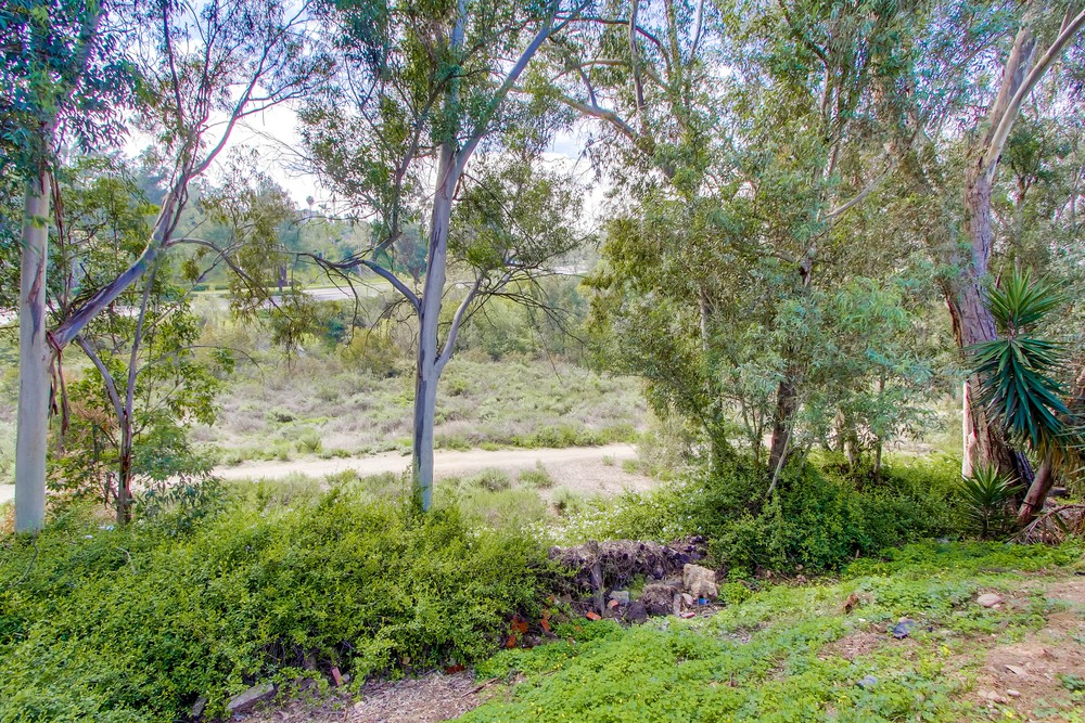 Virtual tour photo 62 of 63 for 5631 Tortuga Ct