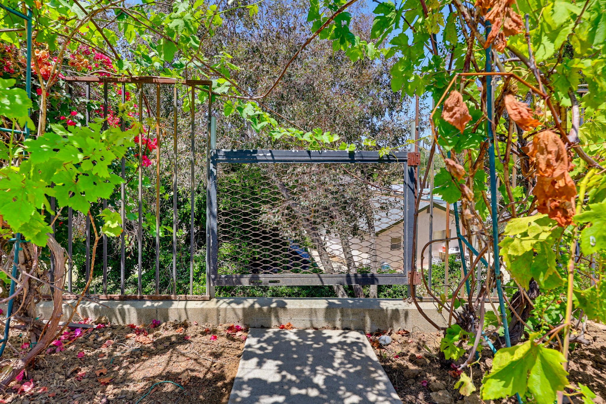 Virtual tour photo 49 of 52 for 569 Gold Dr