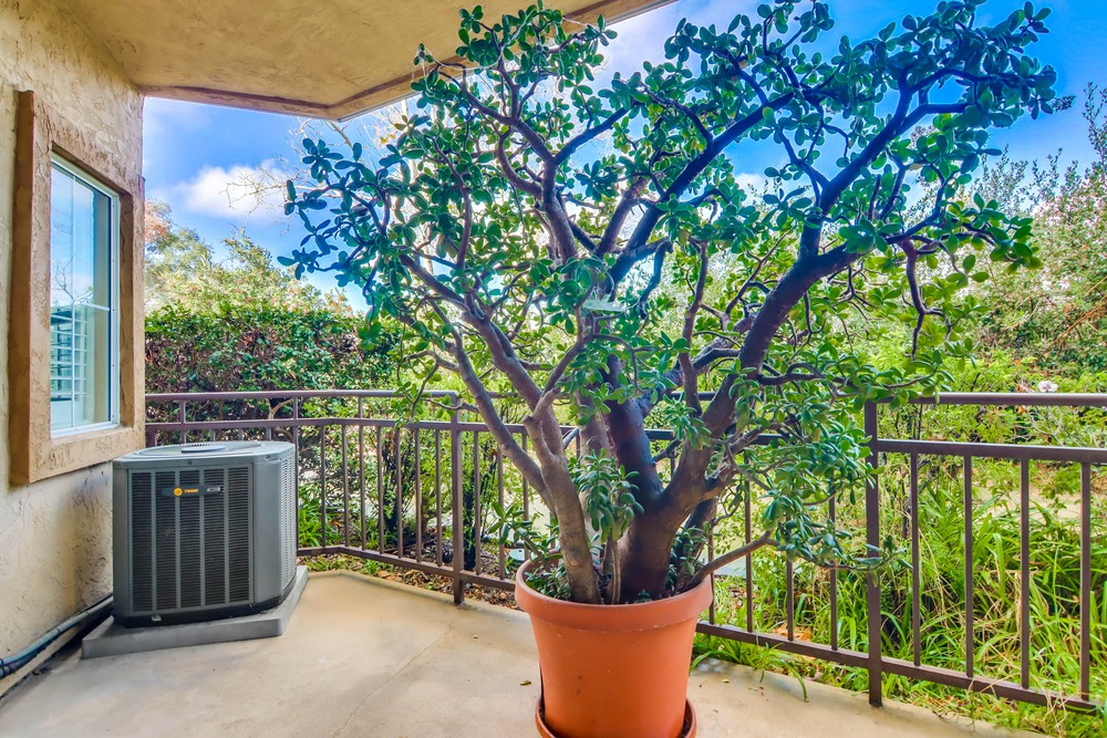 Virtual tour photo 34 of 40 for 580 Camino De La Reina UNIT 129