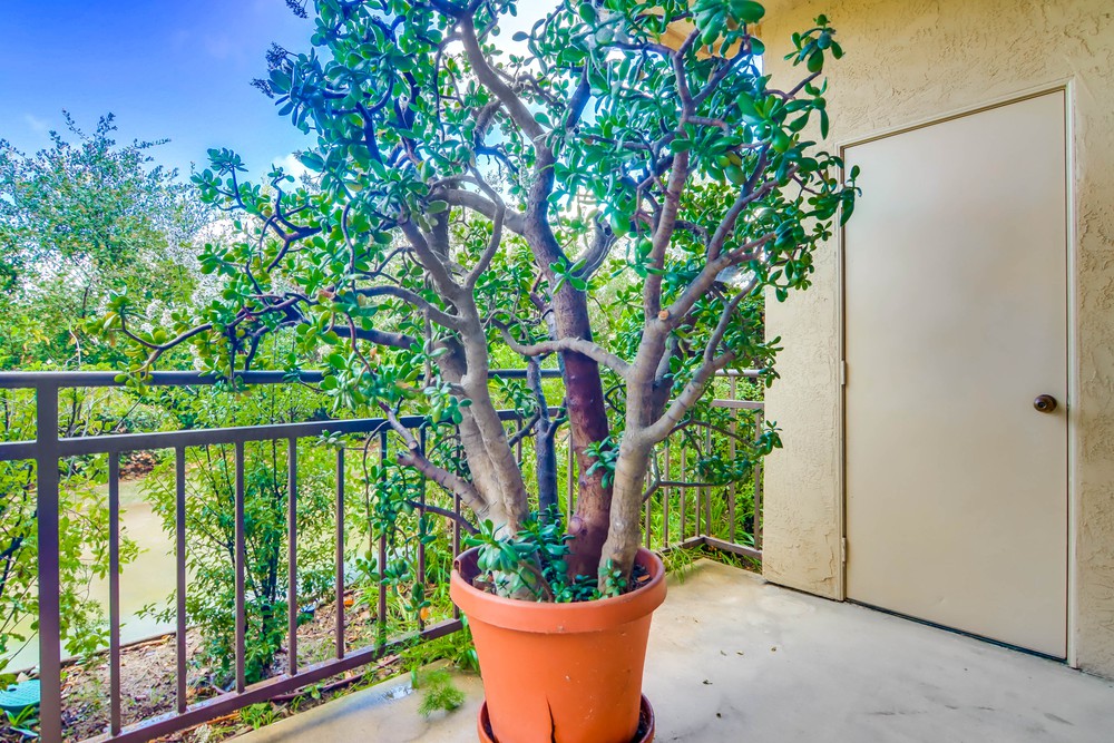 Virtual tour photo 35 of 40 for 580 Camino De La Reina UNIT 129