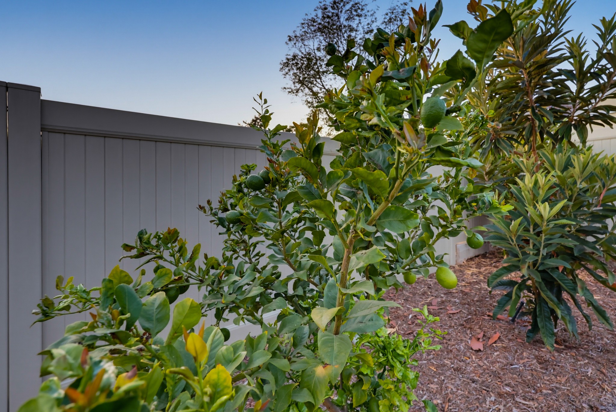 Virtual tour photo 15 of 82 for 5850 Jan Dr