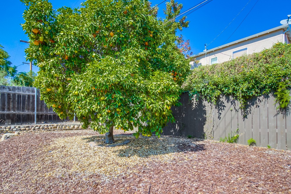 Virtual tour photo 46 of 51 for 5880 Adelaide Ave