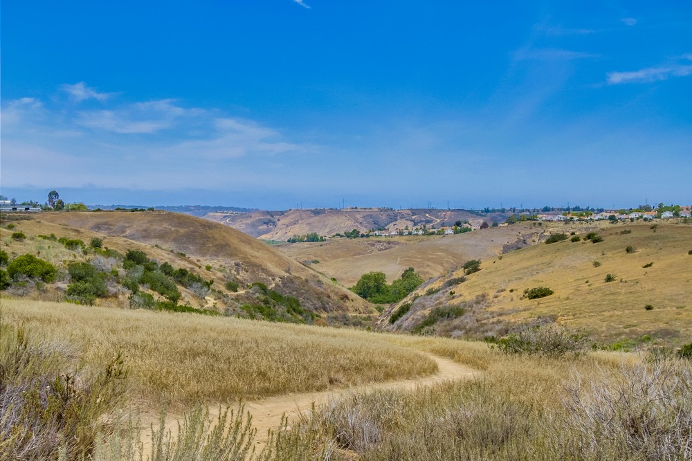 Virtual tour photo 18 of 21 for 5890 Pacific Center Boulevard