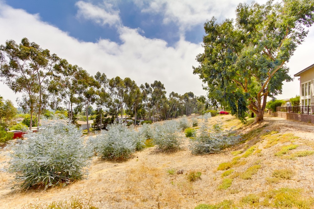 Virtual tour photo 44 of 48 for 590 Cypress Hills Drive