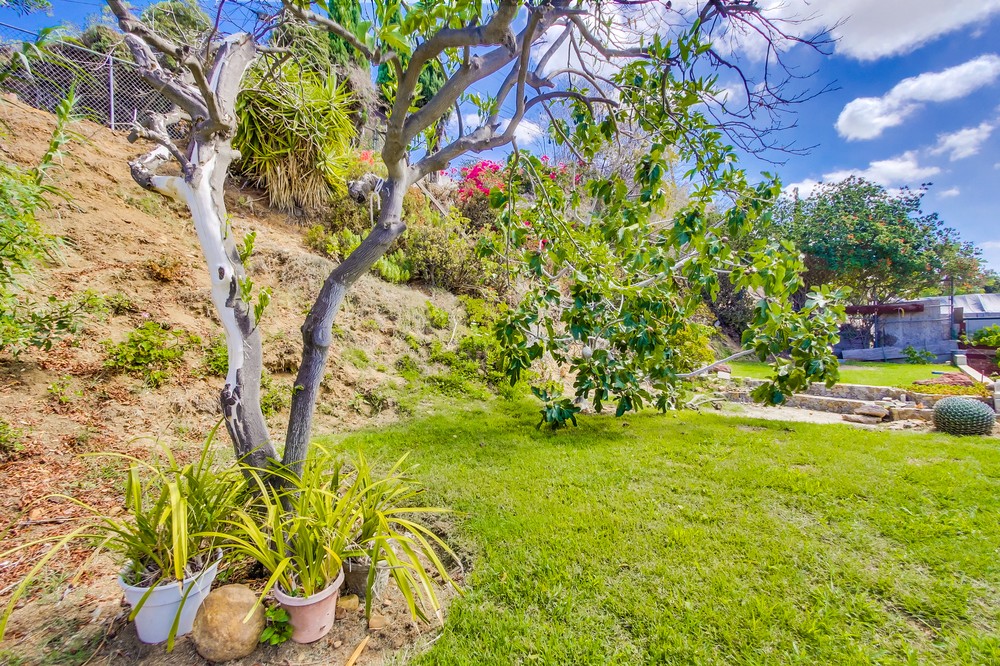 Virtual tour photo 36 of 43 for 5968 Rancho Hills Drive