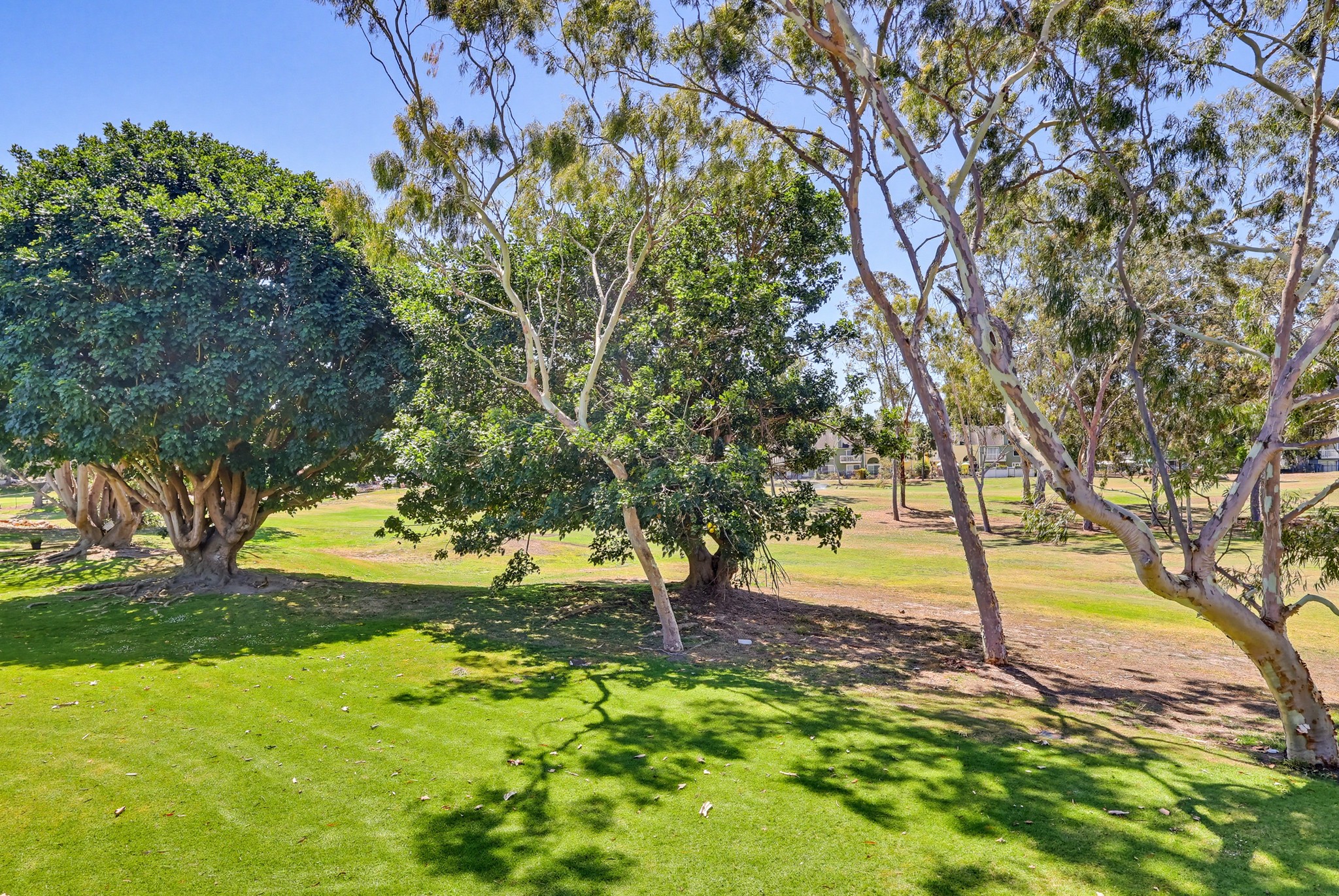 Virtual tour photo 35 of 60 for 6028 Bixby Village Dr APT 96