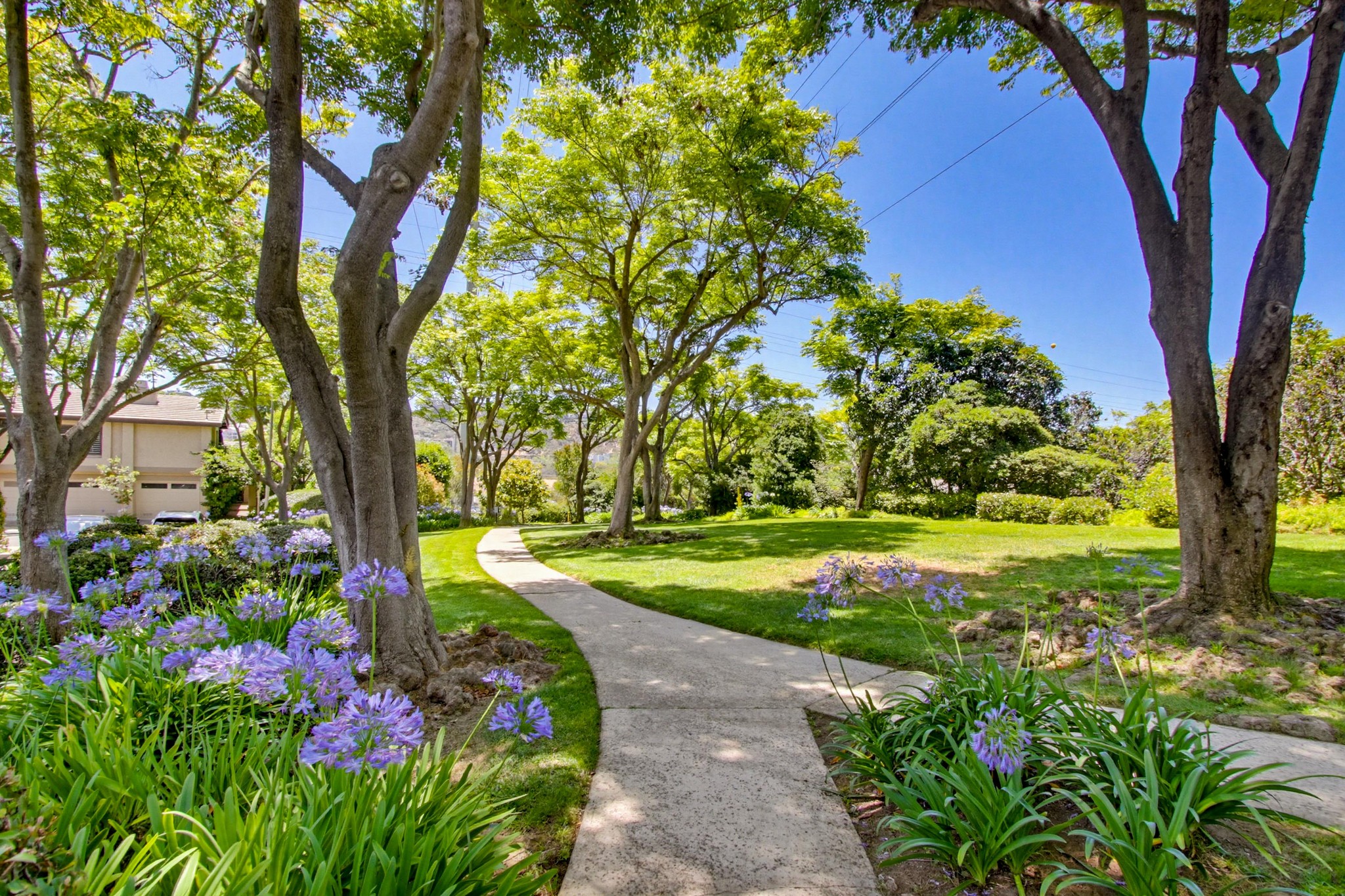 Virtual tour photo 35 of 35 for 6048 Cirrus St