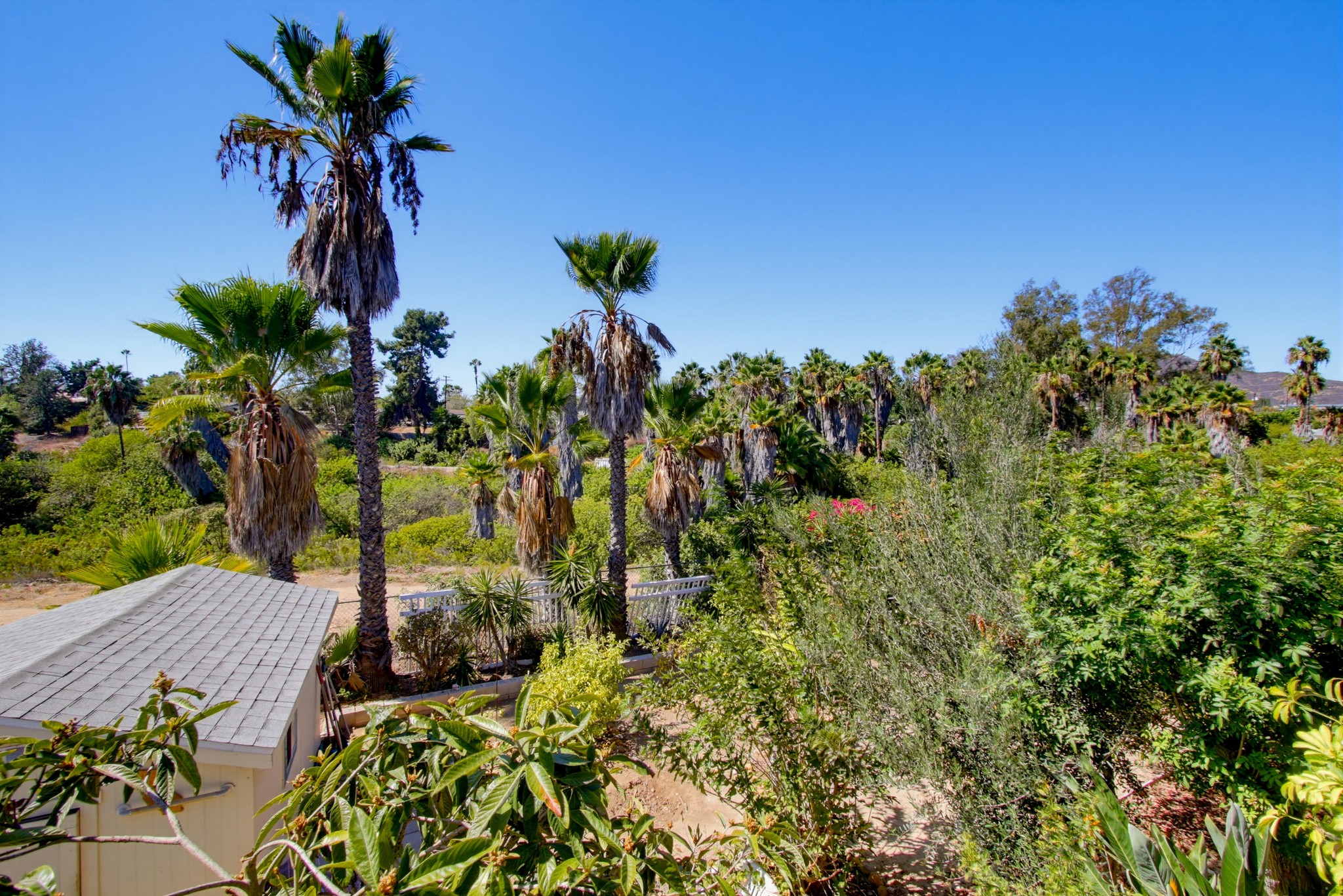 Virtual tour photo 76 of 120 for 6060 Cowles Mountain Blvd