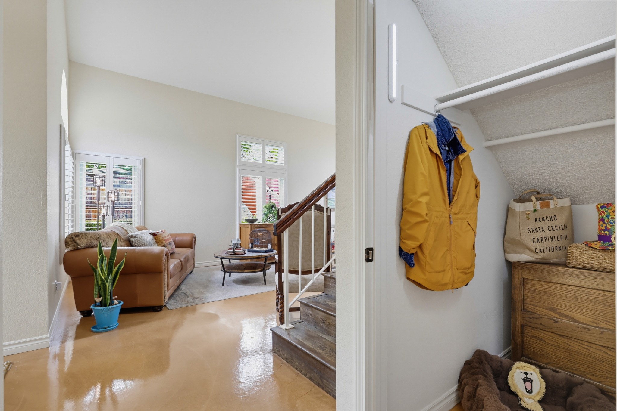 Virtual tour photo 28 of 107 for 608 Forester Ln