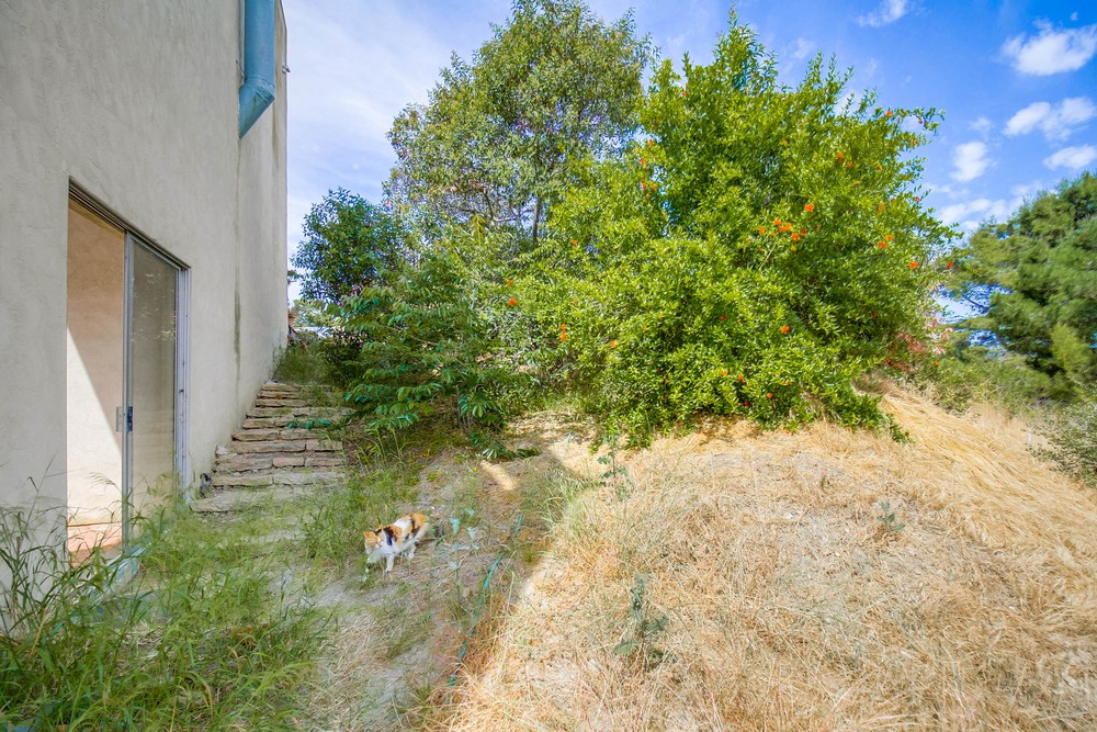 Virtual tour photo 56 of 72 for 6118 Fulmar St