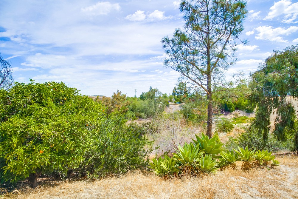 Virtual tour photo 58 of 72 for 6118 Fulmar St