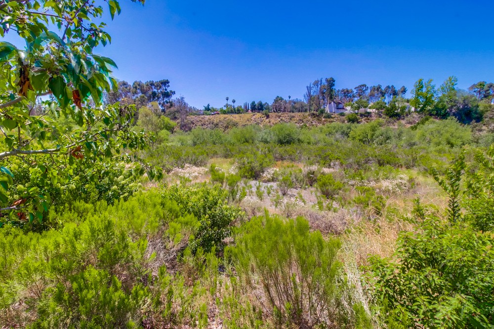 Virtual tour photo 16 of 15 for 6140 Calle Mariselda #101