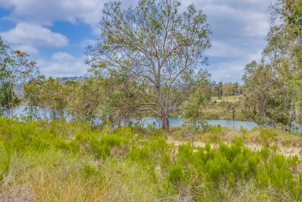 Virtual tour photo 66 of 70 for 6218 Lake Shore Dr