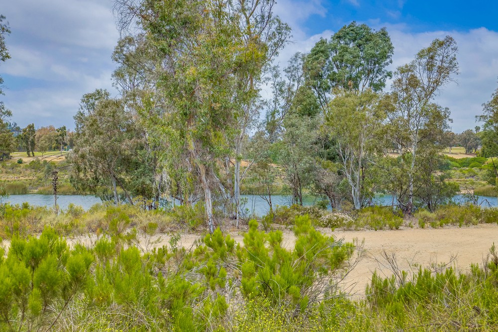 Virtual tour photo 67 of 70 for 6218 Lake Shore Dr