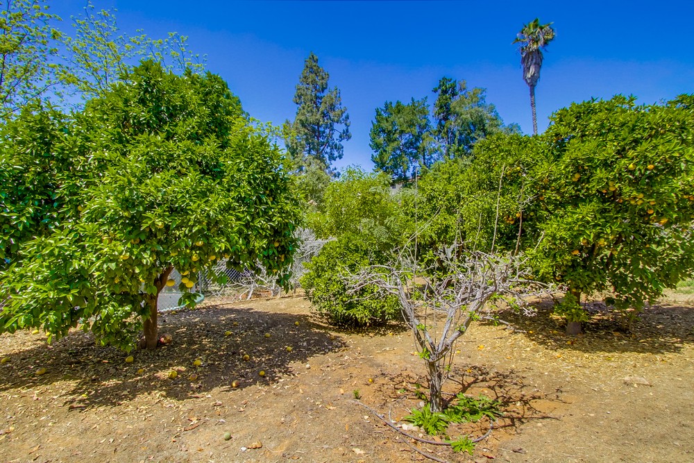 Virtual tour photo 72 of 72 for 6264 Rockhurst Dr