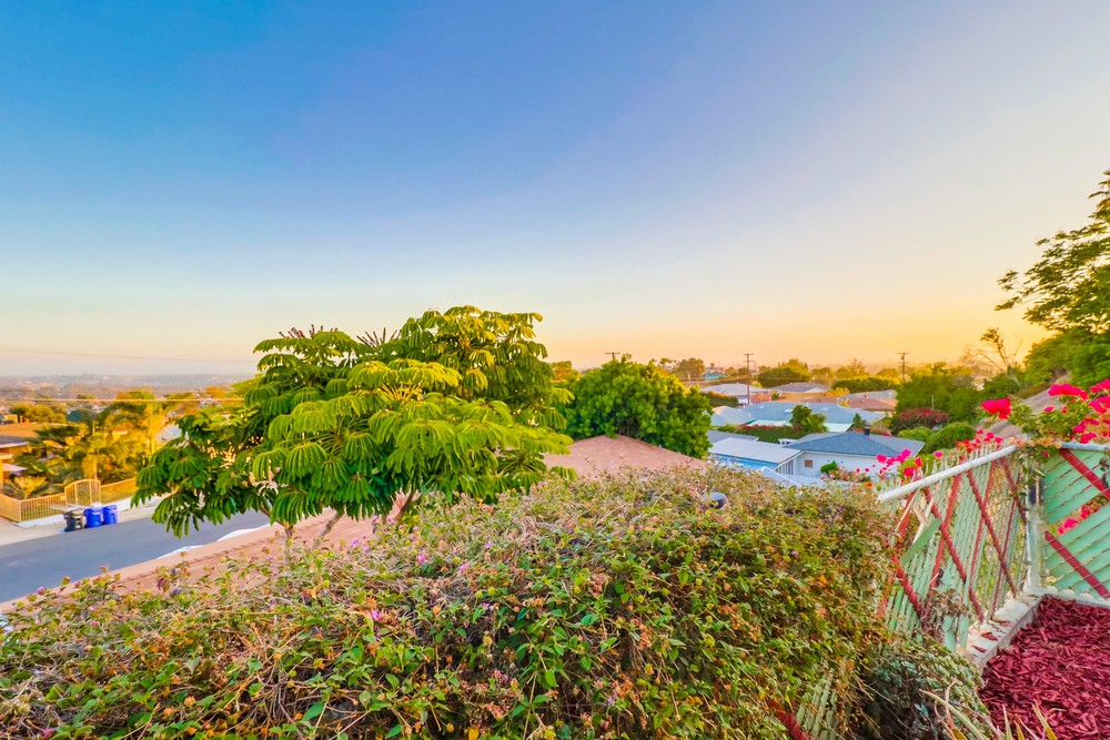 Virtual tour photo 48 of 56 for 6265 Viewpoint Dr