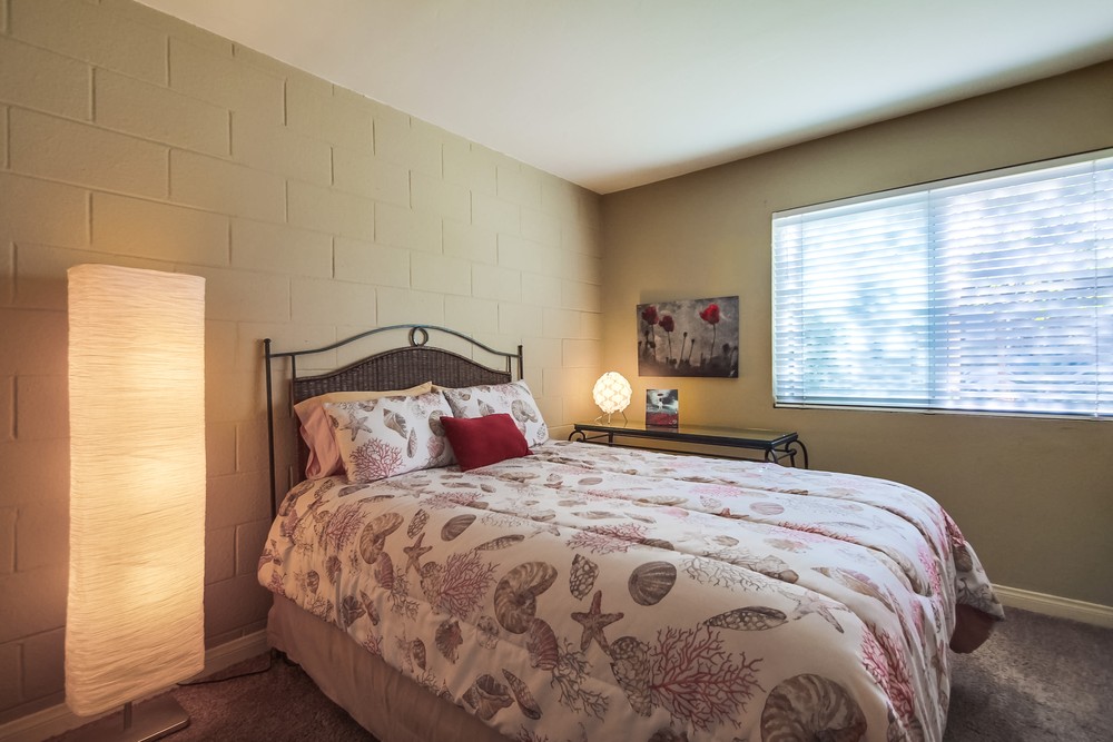 Virtual tour photo 48 of 81 for 6327 Caminito Luisito