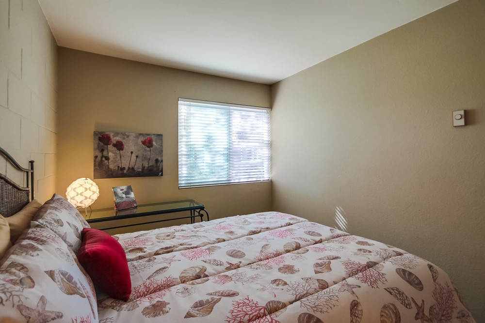 Virtual tour photo 49 of 81 for 6327 Caminito Luisito