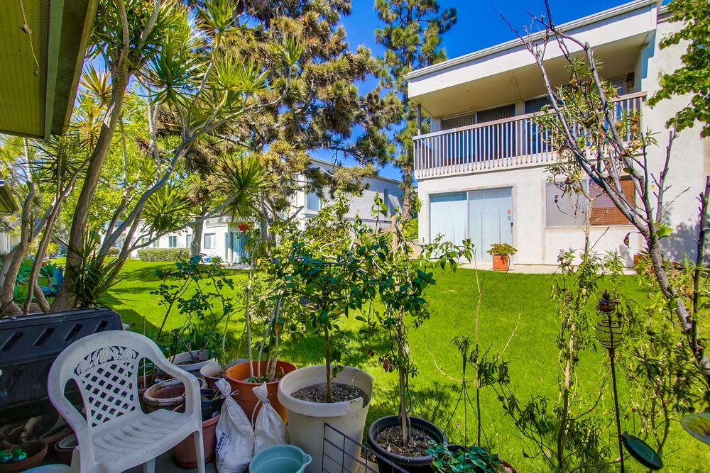 Virtual tour photo 39 of 67 for 6346 Caminito Lazaro