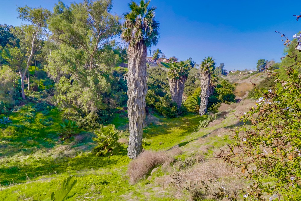 Virtual tour photo 40 of 40 for 6360 Seascape Dr