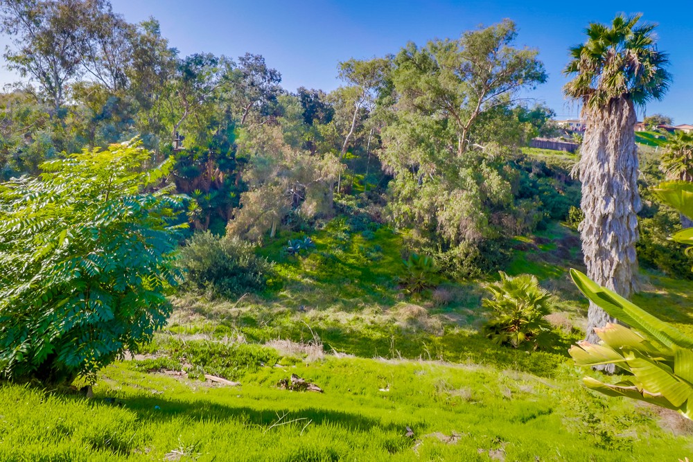 Virtual tour photo 41 of 40 for 6360 Seascape Dr