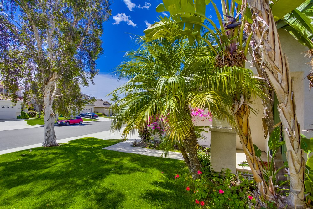 Virtual tour photo 5 of 51 for 6420 Peinado Way