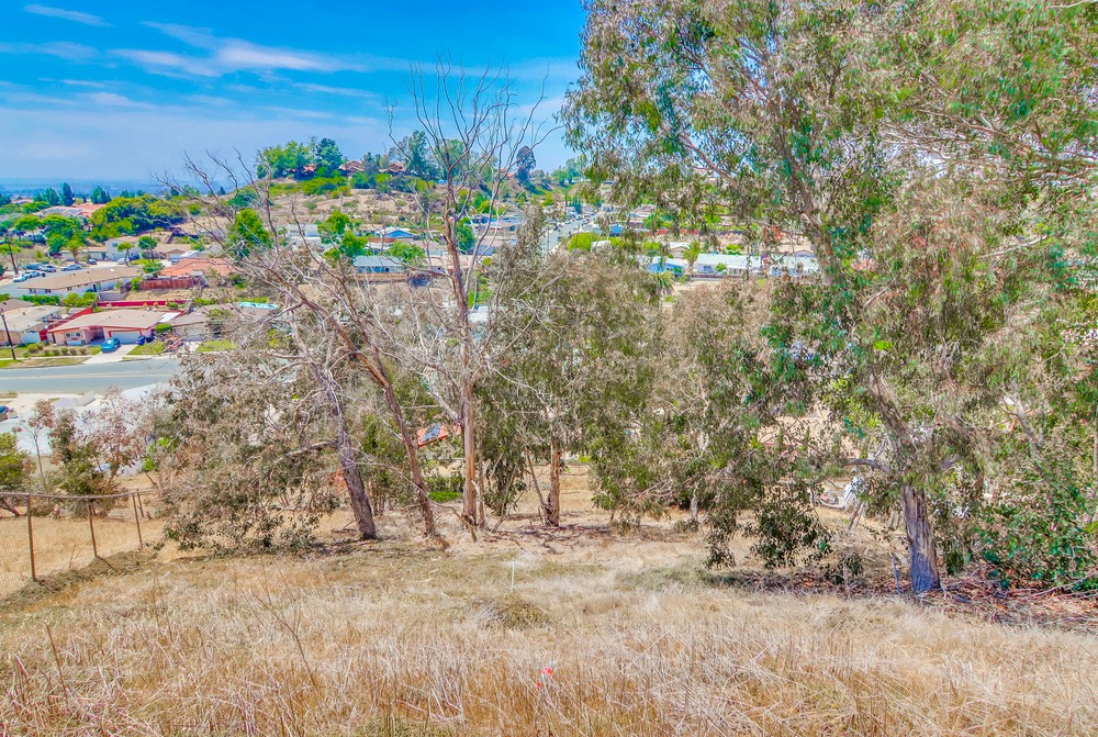 Virtual tour photo 51 of 51 for 6464 Calle Pavana