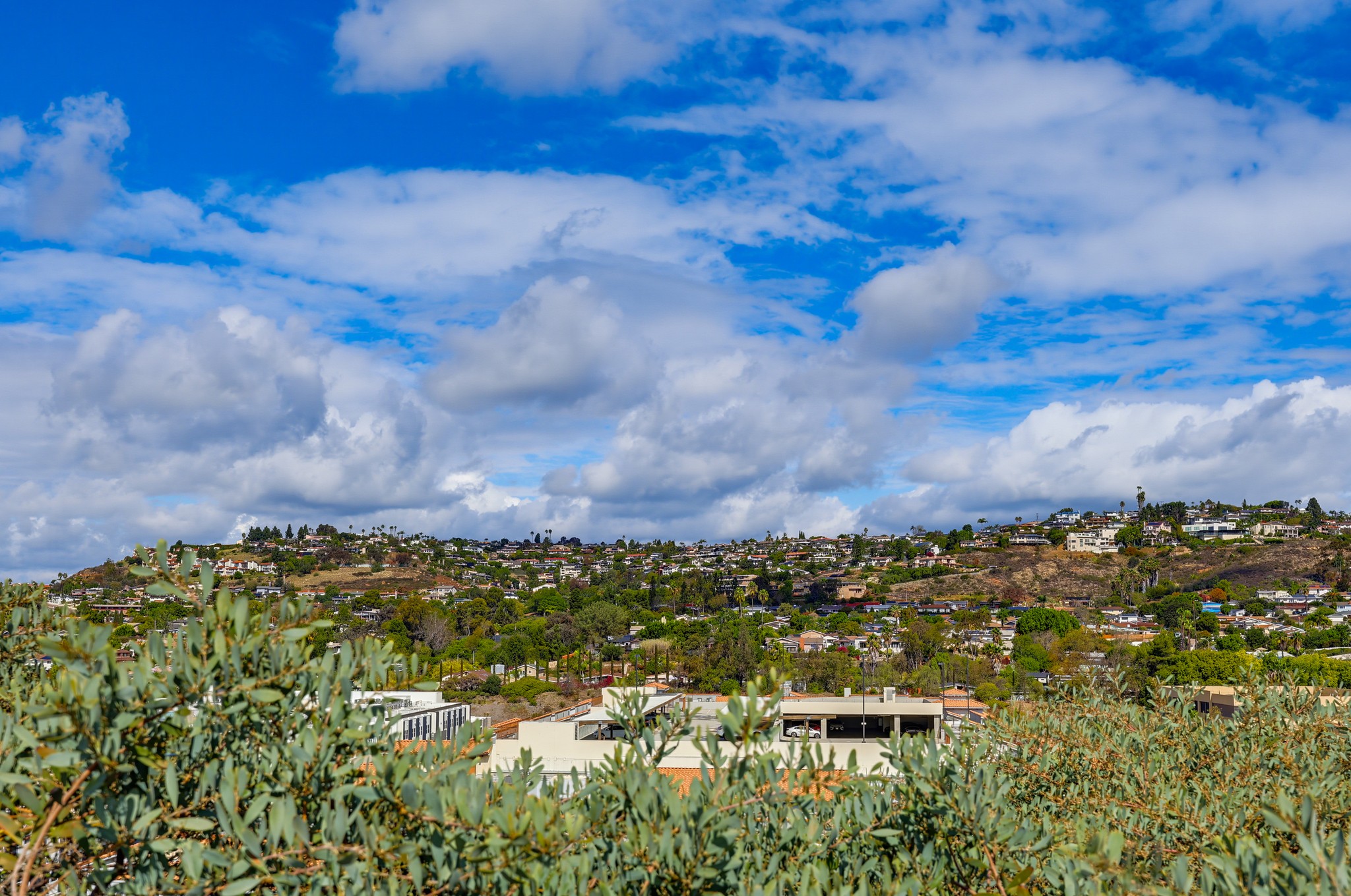 Virtual tour photo 49 of 52 for 6468 Cleo St