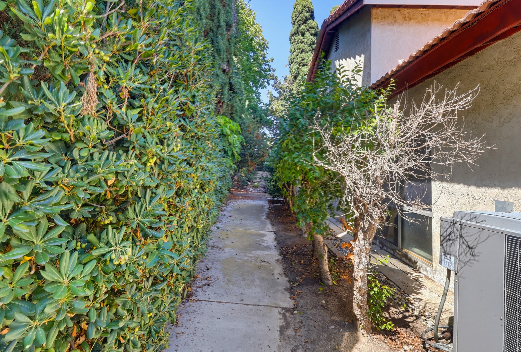 Virtual tour photo 112 of 126 for 6491 E Saddle Dr