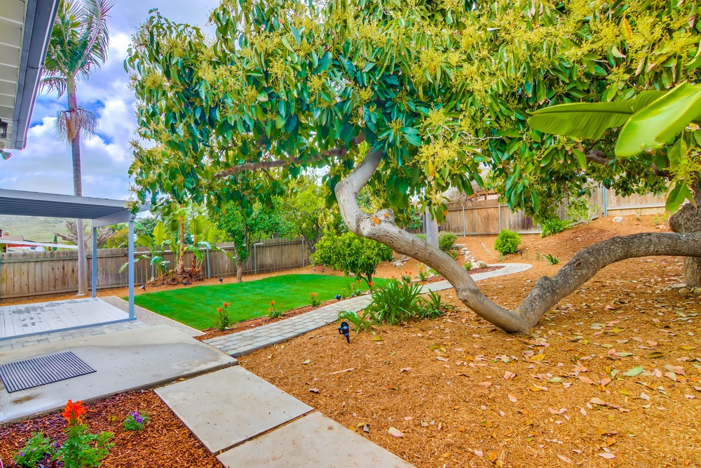 Virtual tour photo 74 of 85 for 6498 Casselberry Way