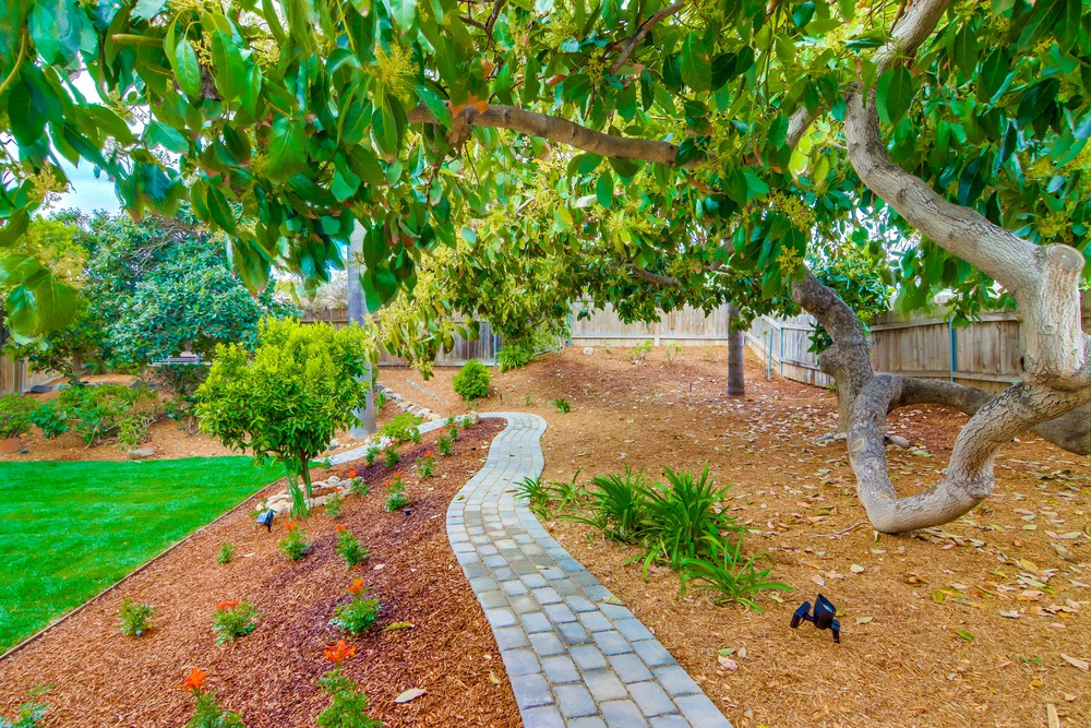 Virtual tour photo 76 of 85 for 6498 Casselberry Way