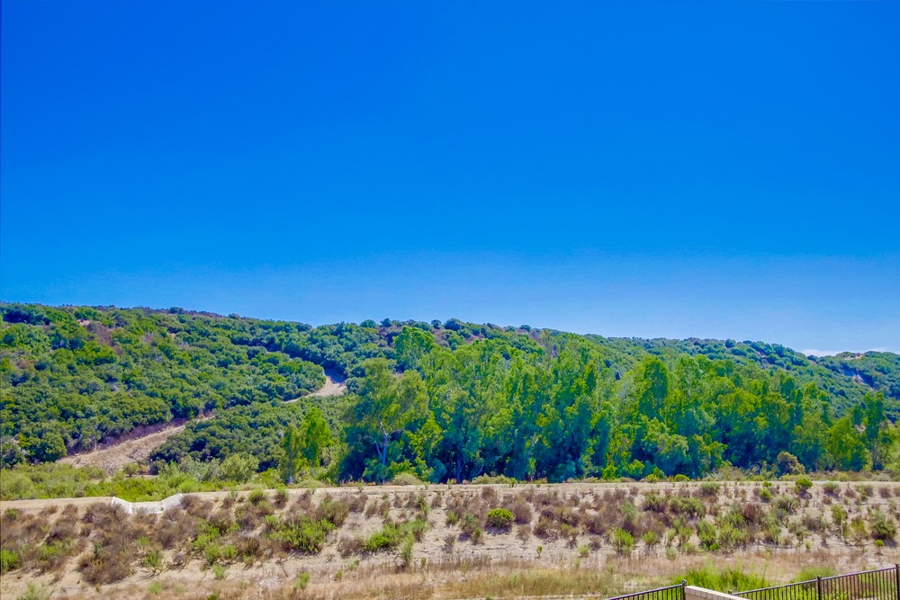 Virtual tour photo 33 of 65 for 6643 Elegante Way